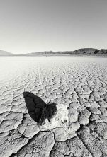 lunar rubble.jpg